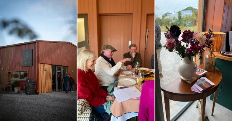 shed TR cosy 800x420 crop center 768x403