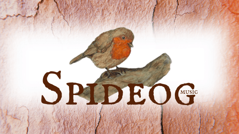 spideog facebook cover 768x433