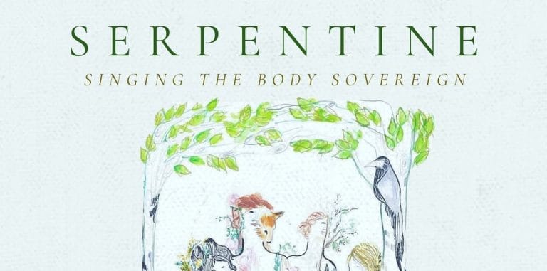 Serpentine is pleased to announce our Summer 2026 tour For our third tour in Ireland we presen 768x381