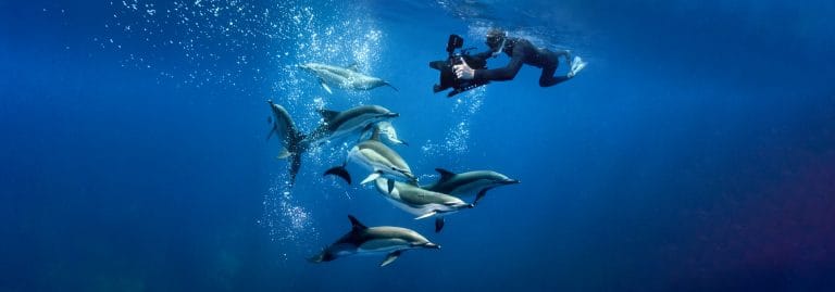 Stories from the Sea 768x269